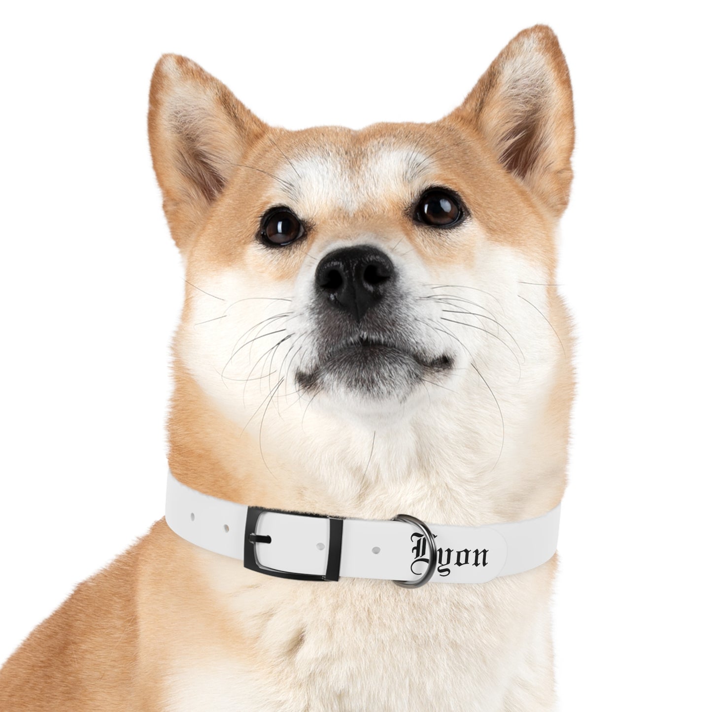 Dog Collar