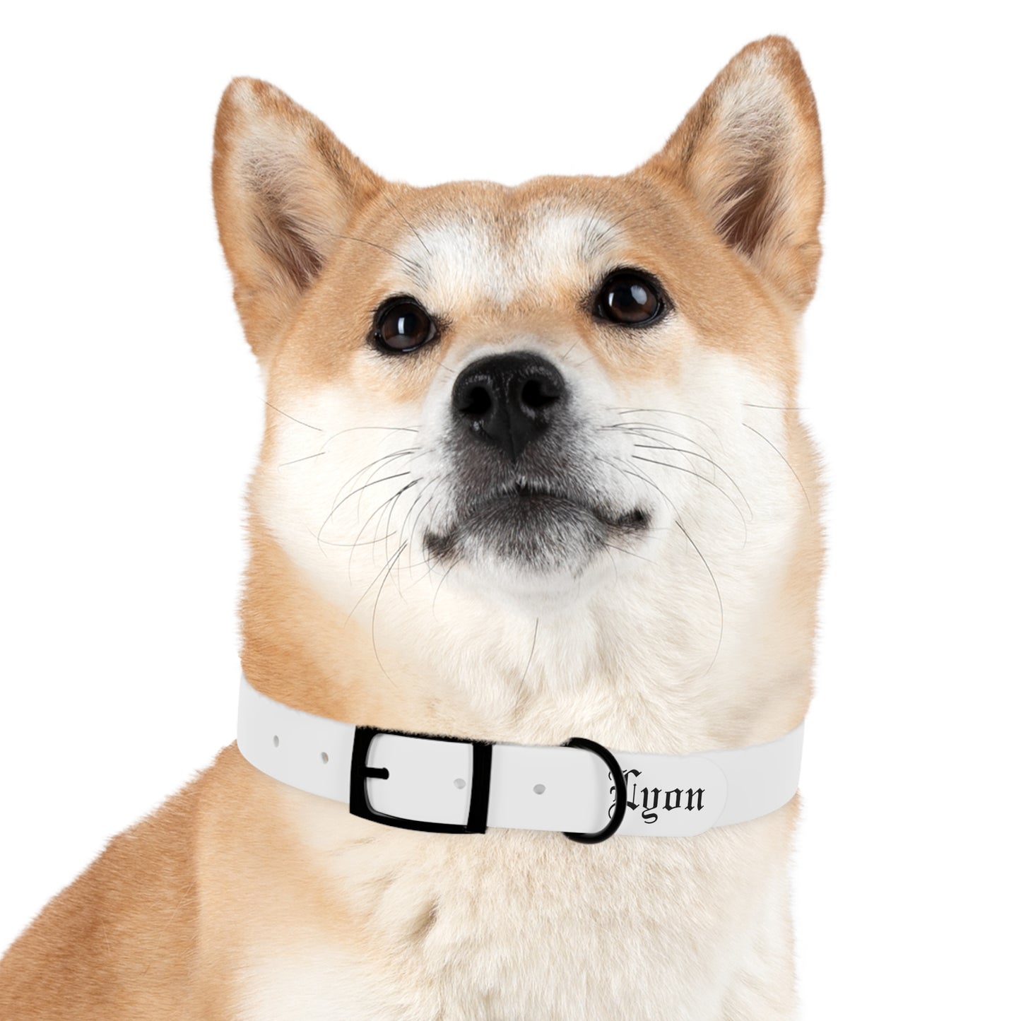 Dog Collar