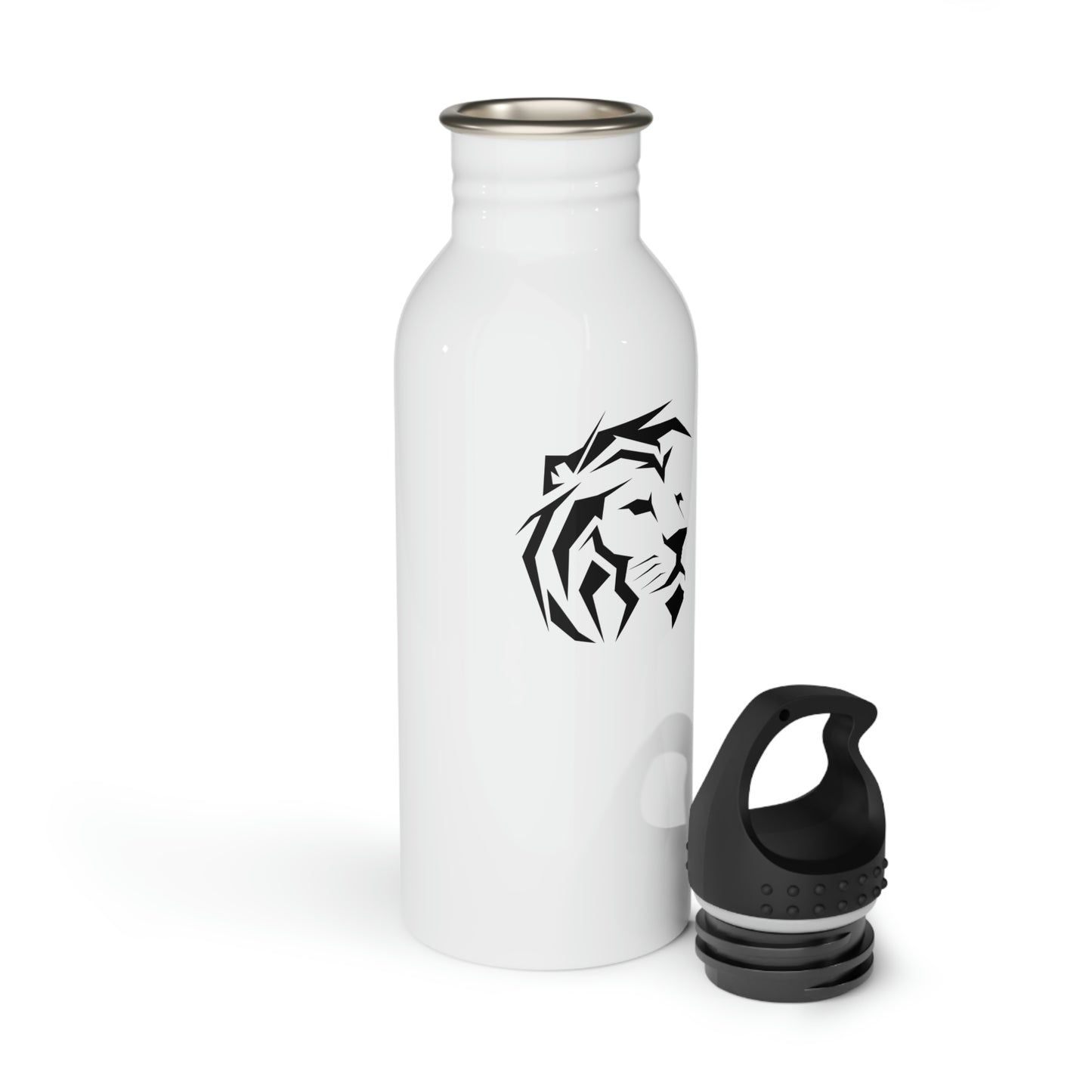 Stainless Steel Bottle