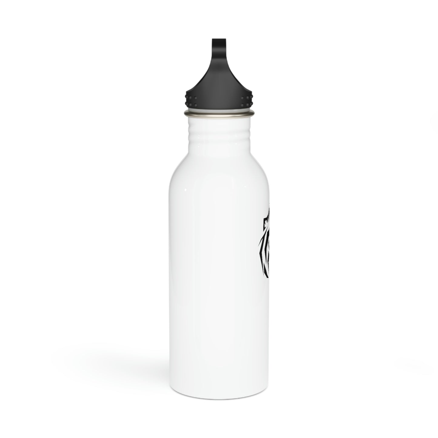 Stainless Steel Bottle