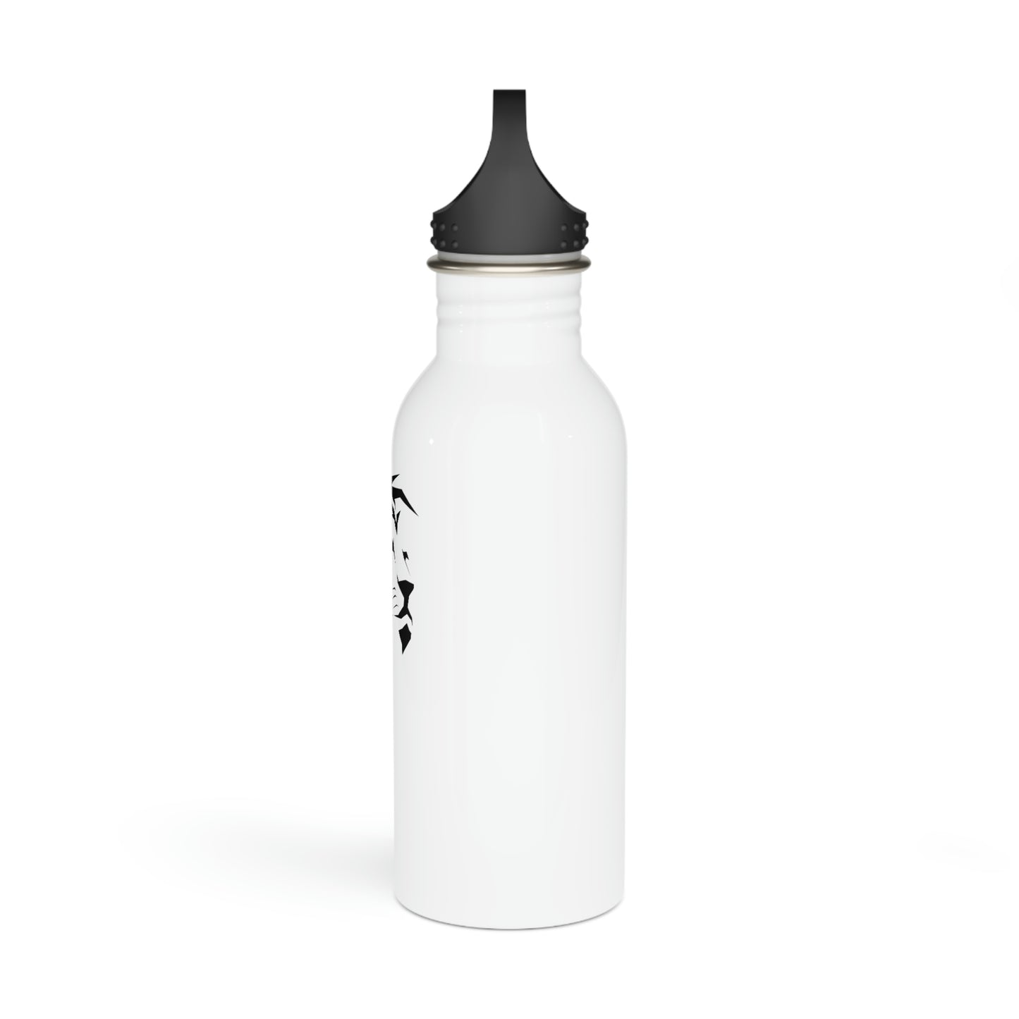 Stainless Steel Bottle